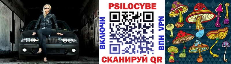 Псилоцибиновые грибы Magic Shrooms  магазин продажи   Сергач 